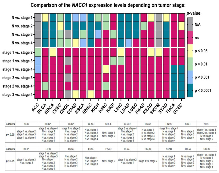 PMC11728236 – ijms-25-13632-f004