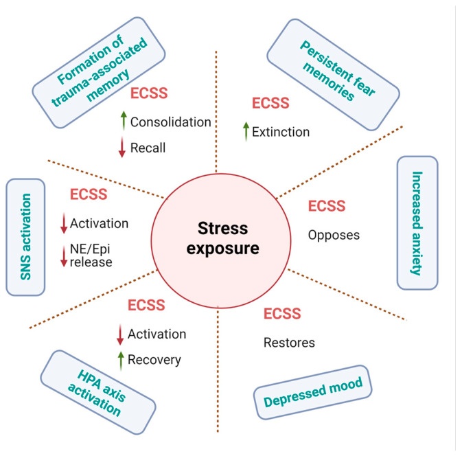 PMC11720483 – ijms-26-00152-f009