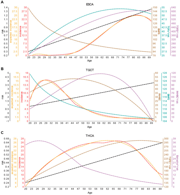 PMC11720044 – ijms-26-00275-f002