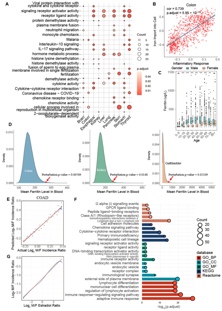 PMC11720044 – ijms-26-00275-f005
