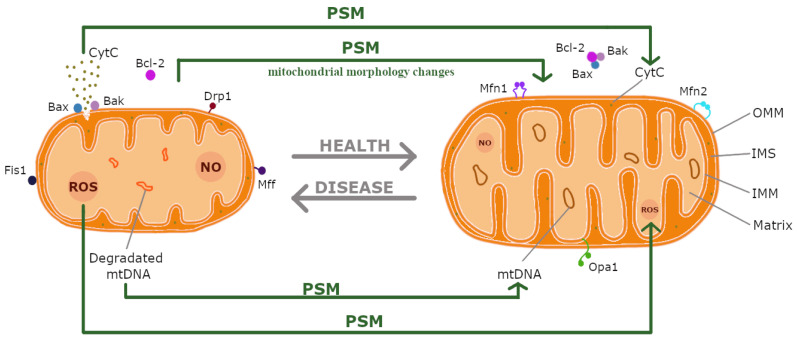 PMC11720160 – ijms-26-00380-f001
