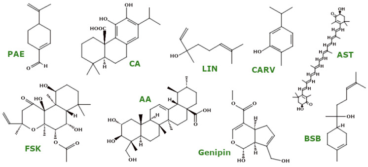 PMC11720160 – ijms-26-00380-f005