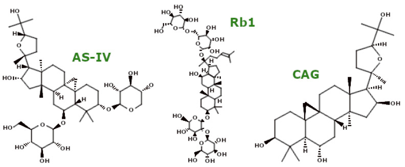 PMC11720160 – ijms-26-00380-f006