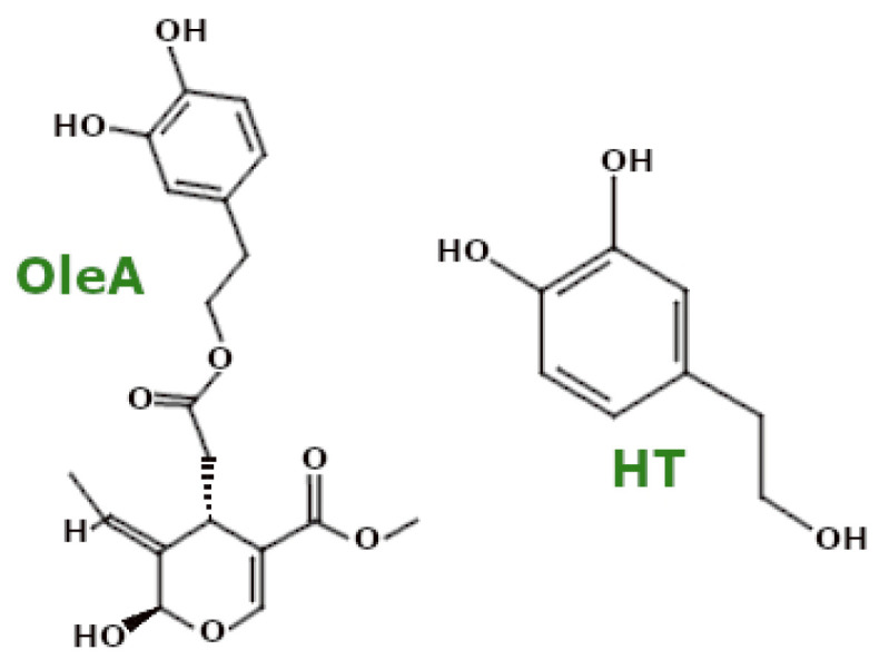 PMC11720160 – ijms-26-00380-f007