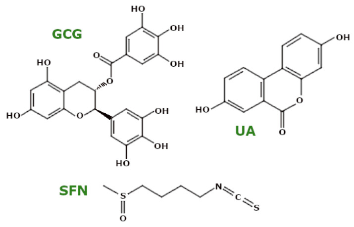 PMC11720160 – ijms-26-00380-f010