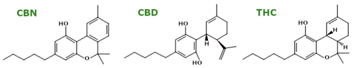 PMC11720160 – ijms-26-00380-f011