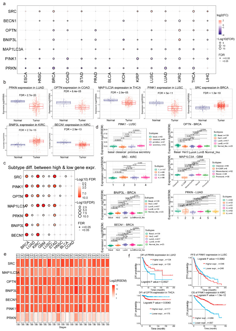 PMC11765132 – ijms-26-00448-f002