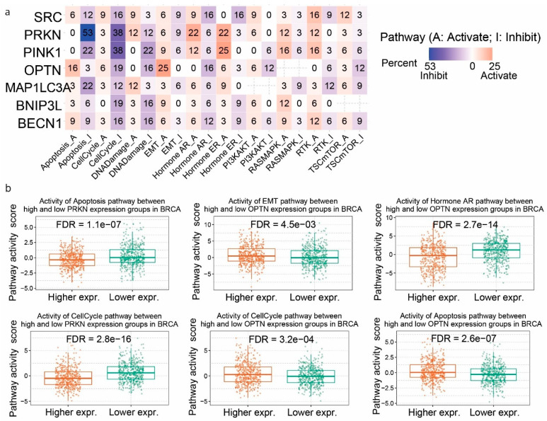 PMC11765132 – ijms-26-00448-f003