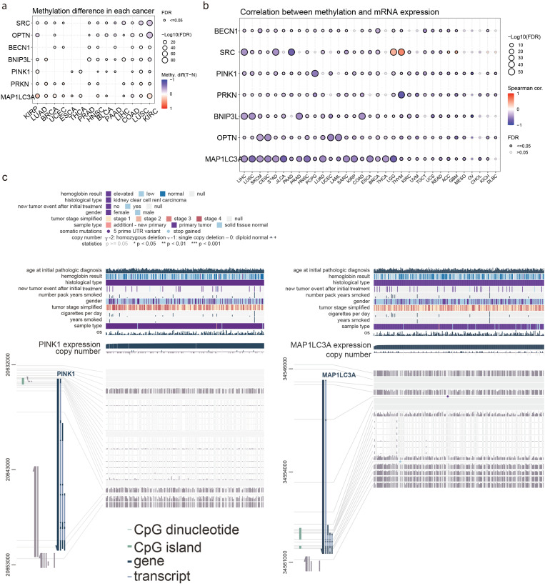 PMC11765132 – ijms-26-00448-f005