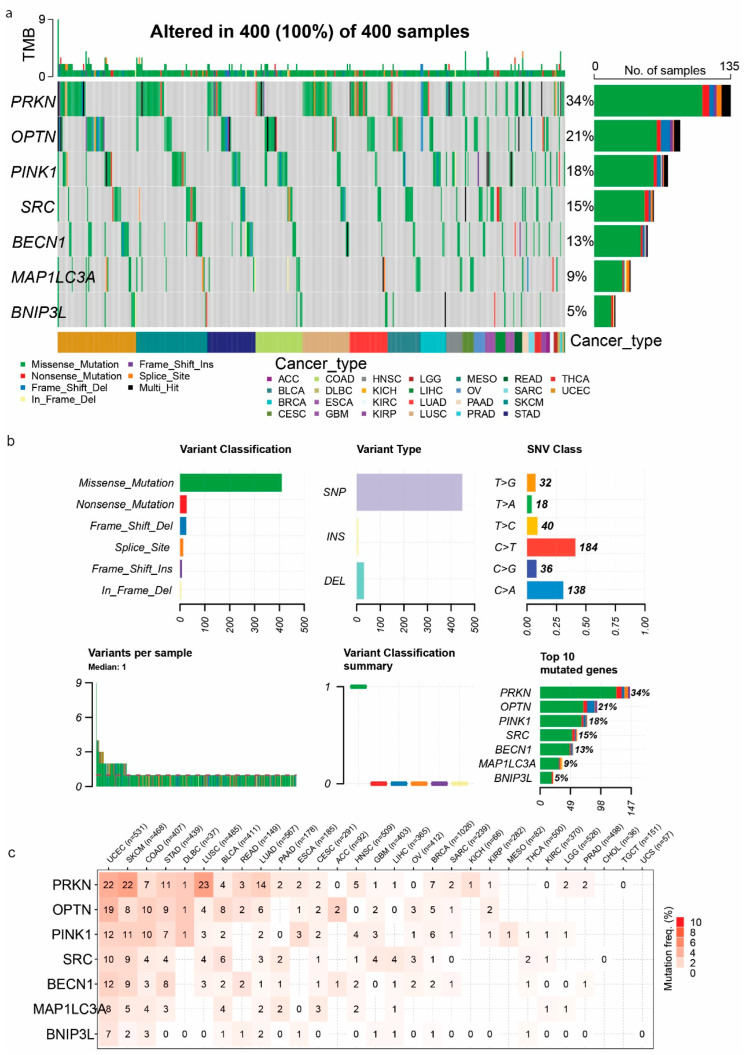 PMC11765132 – ijms-26-00448-f006