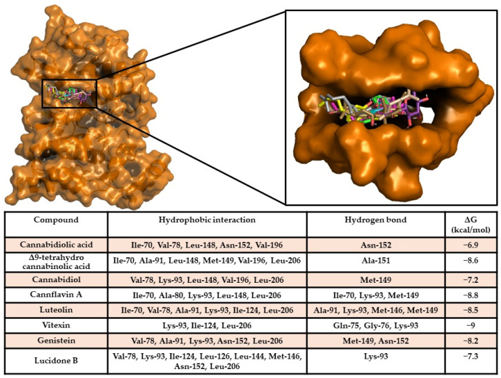 PMC11765263 – ijms-26-00548-f006