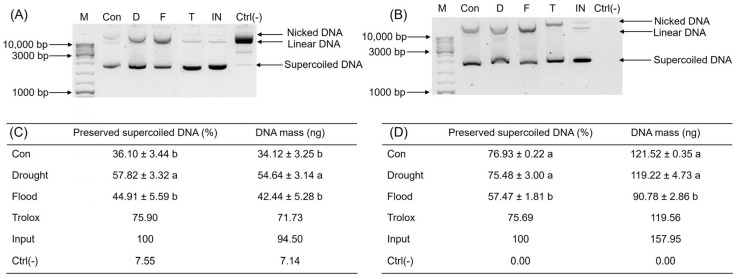 PMC11765553 – ijms-26-00632-f003