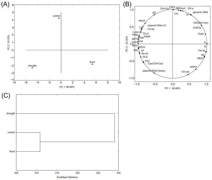 PMC11765553 – ijms-26-00632-f004