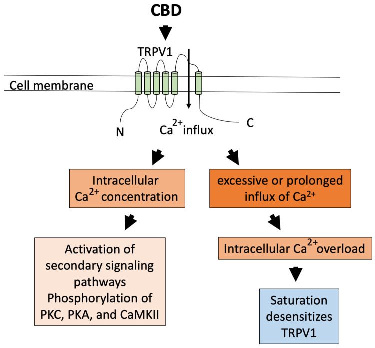 PMC11765766 – ijms-26-00699-f002