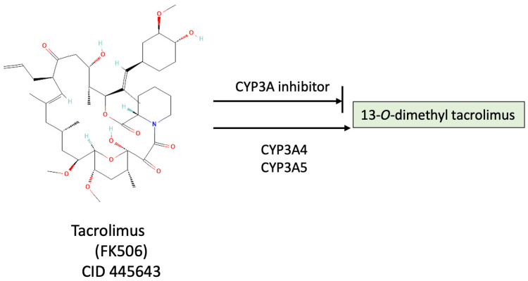 PMC11765766 – ijms-26-00699-f009