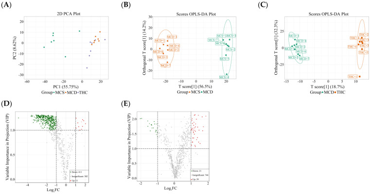 PMC11816436 – ijms-26-00895-f002