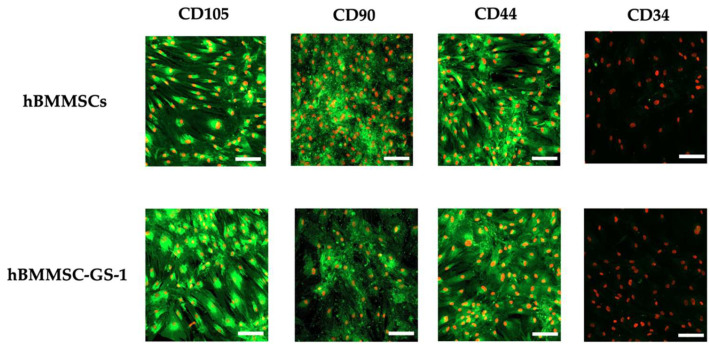 PMC11818735 – ijms-26-01143-f002