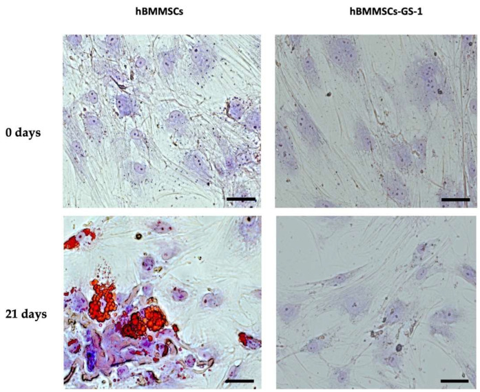 PMC11818735 – ijms-26-01143-f003