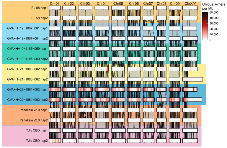 PMC11818205 – ijms-26-01165-f002