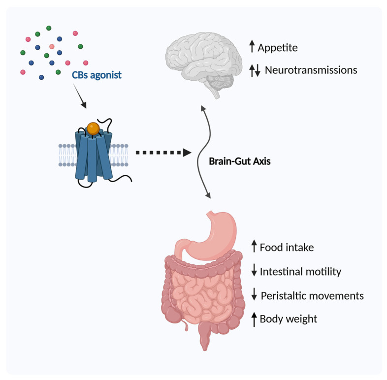 PMC11818434 – ijms-26-01306-f004