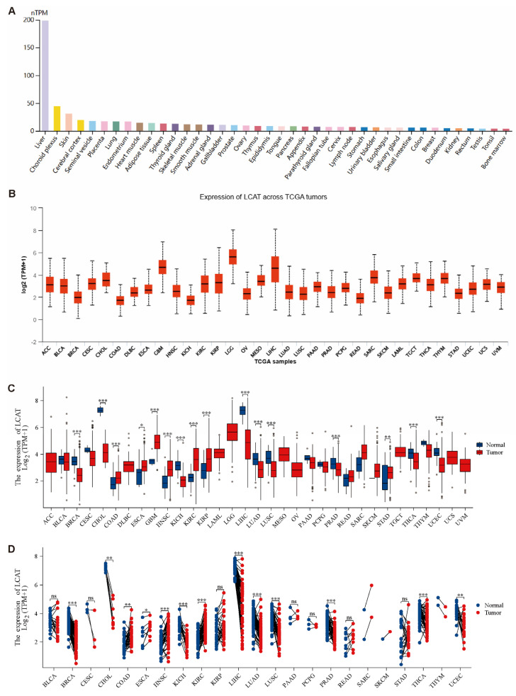 PMC11855027 – ijms-26-01453-f001