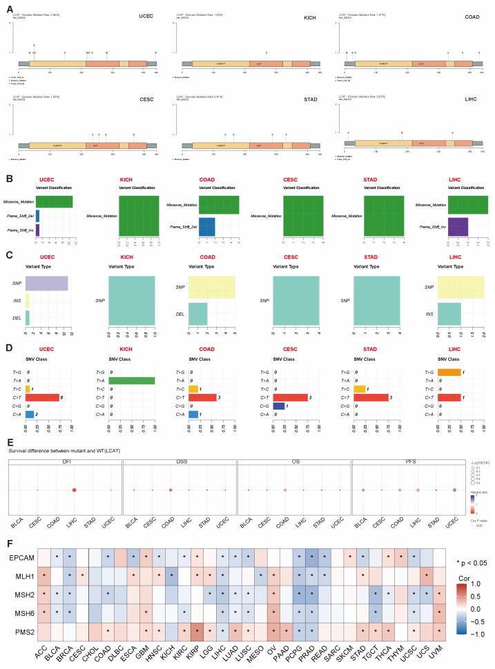 PMC11855027 – ijms-26-01453-f006