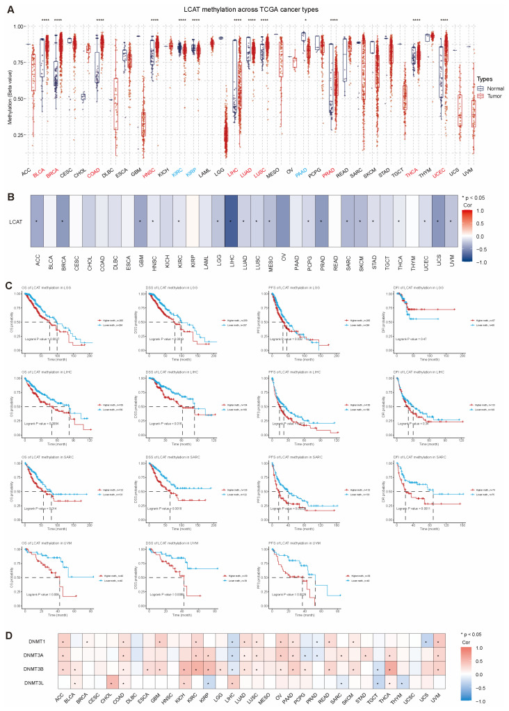 PMC11855027 – ijms-26-01453-f007