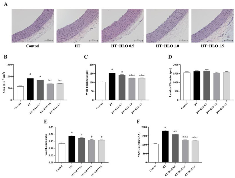 PMC11899380 – ijms-26-01897-f004