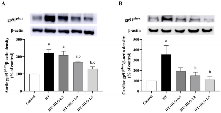 PMC11899380 – ijms-26-01897-f006