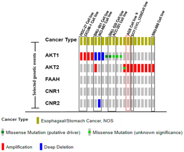 PMC11900069 – ijms-26-02033-f002