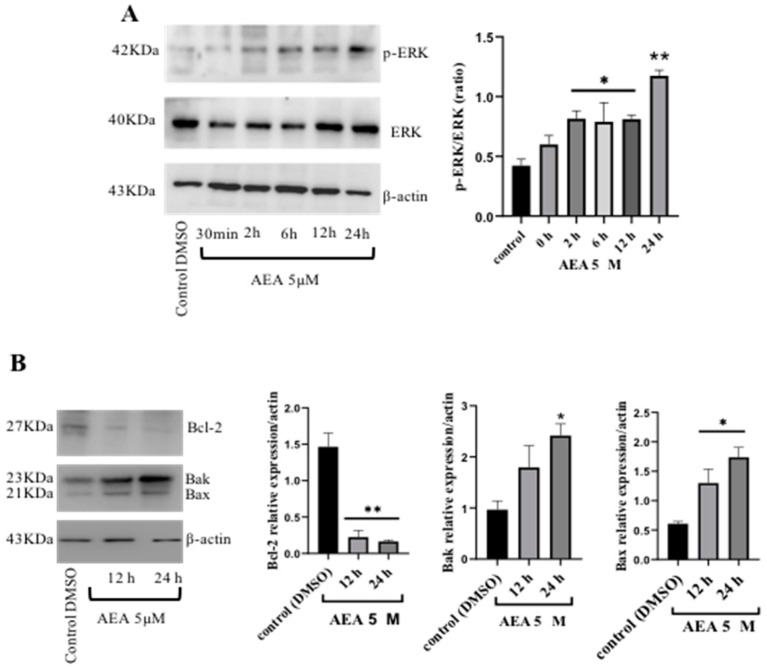 PMC11900069 – ijms-26-02033-f003