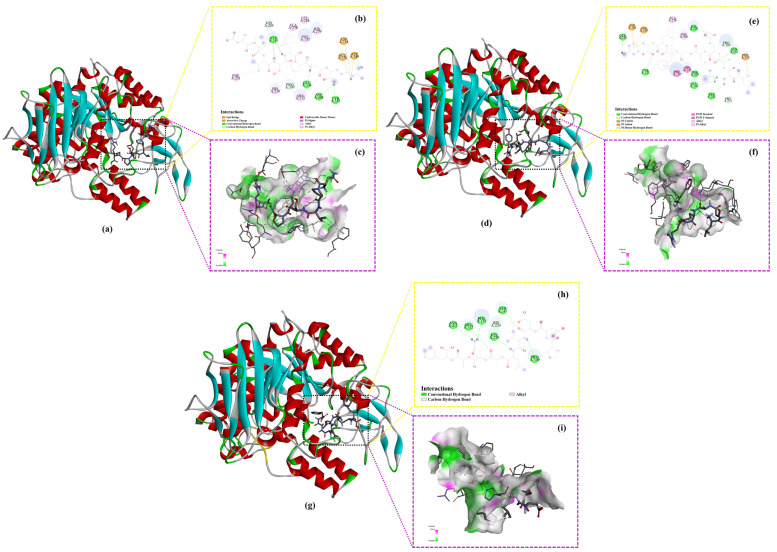 PMC11899805 – ijms-26-02222-f005