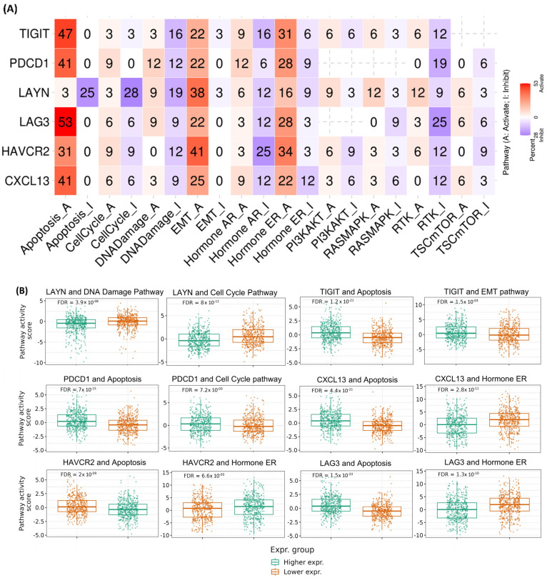 PMC11899893 – ijms-26-02311-f003