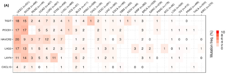 PMC11899893 – ijms-26-02311-f004