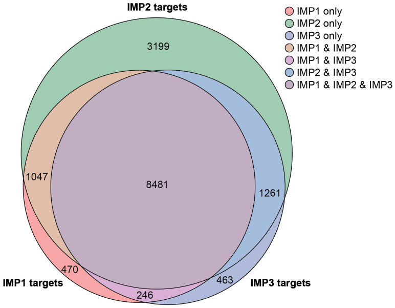 PMC11942581 – ijms-26-02415-f002