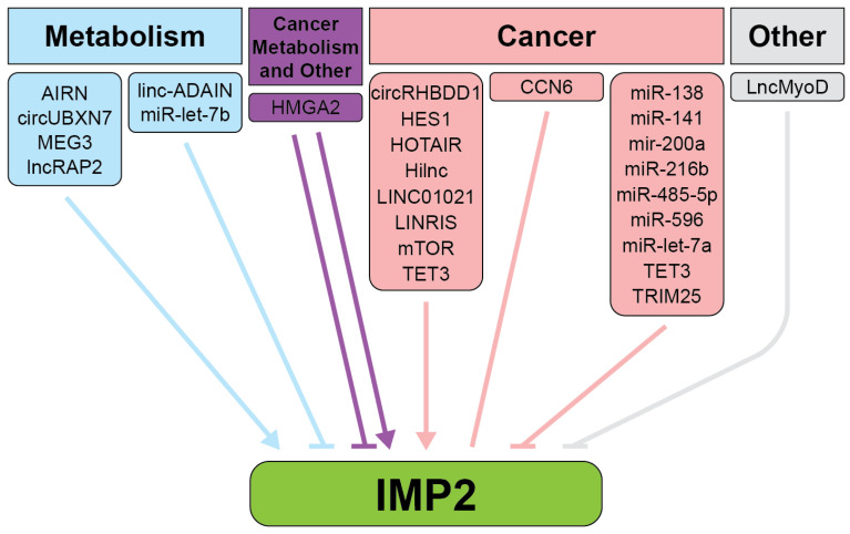 PMC11942581 – ijms-26-02415-f003