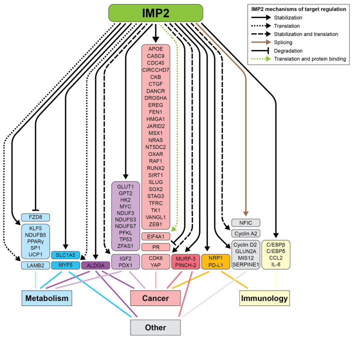 PMC11942581 – ijms-26-02415-f004