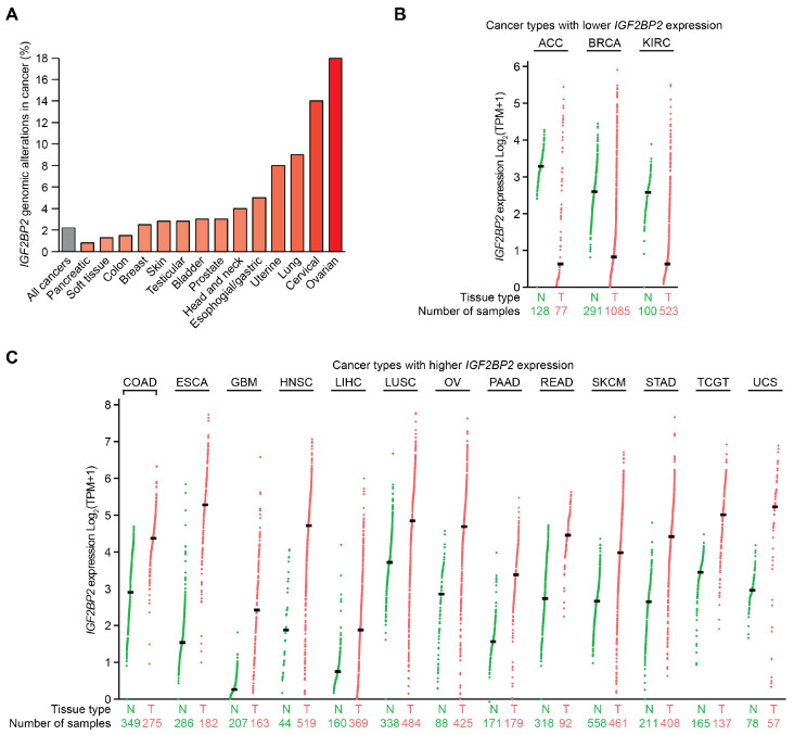 PMC11942581 – ijms-26-02415-f005