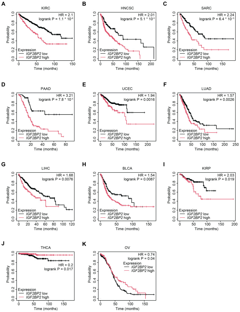 PMC11942581 – ijms-26-02415-f006
