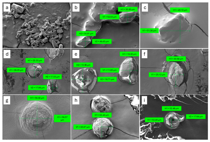 PMC11942006 – ijms-26-02647-f002