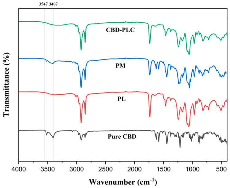 PMC11942006 – ijms-26-02647-f005