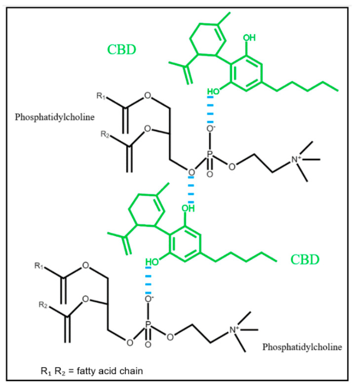 PMC11942006 – ijms-26-02647-f006