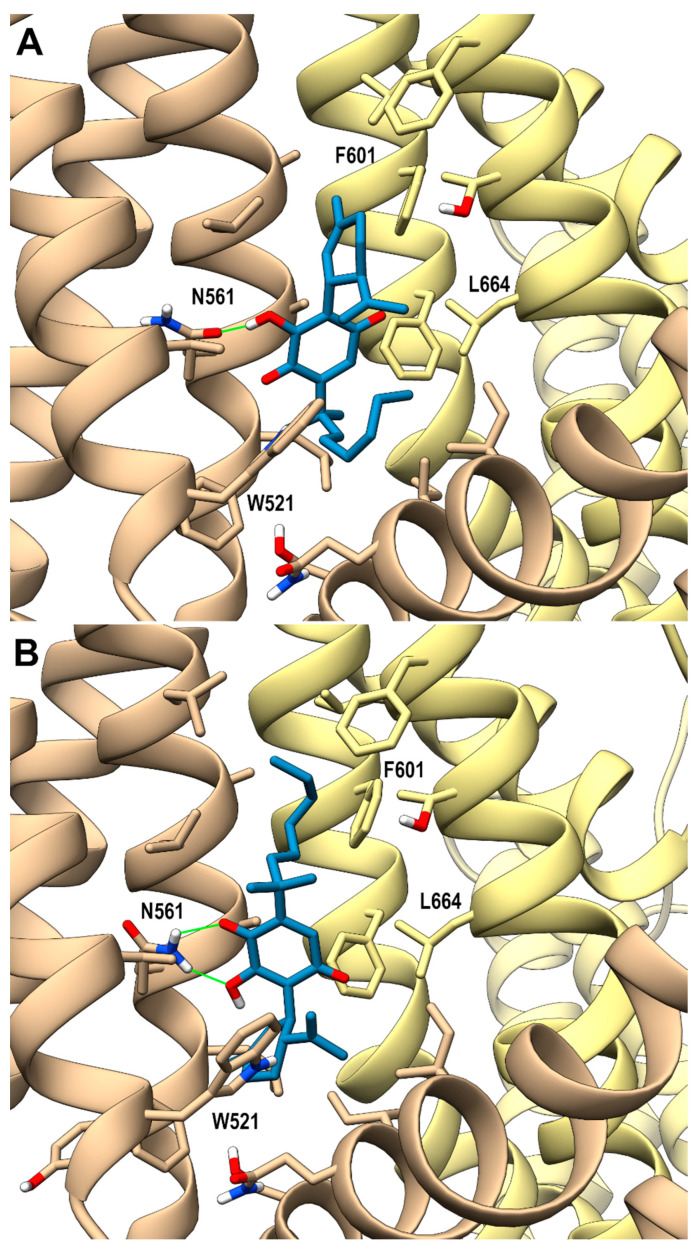 PMC11942486 – ijms-26-02682-f002