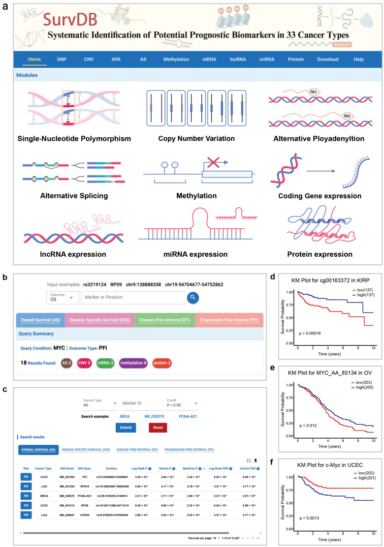 PMC11942654 – ijms-26-02806-f001