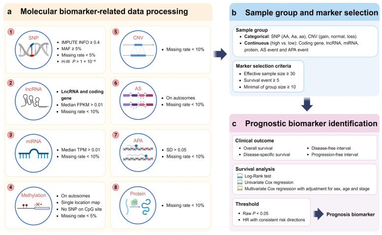 PMC11942654 – ijms-26-02806-f002