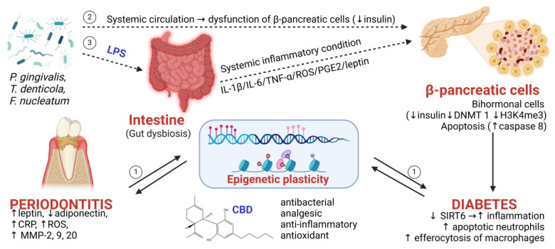 PMC11988922 – ijms-26-02853-f001