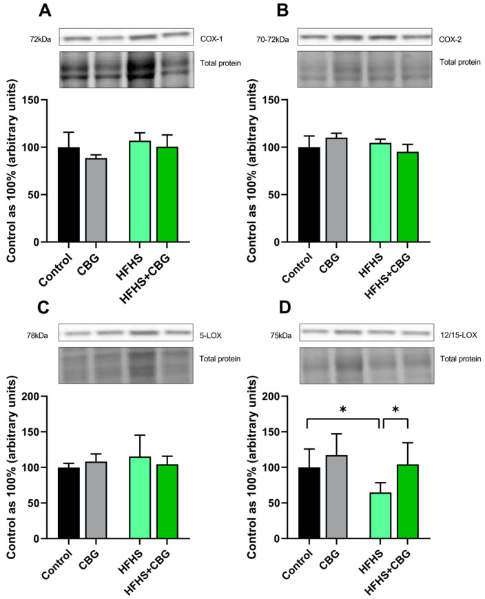 PMC11988375 – ijms-26-03114-f004