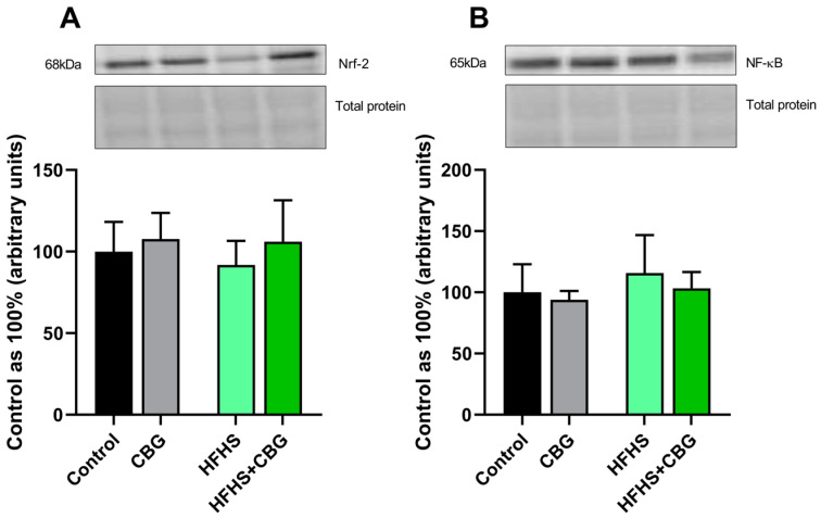 PMC11988375 – ijms-26-03114-f005
