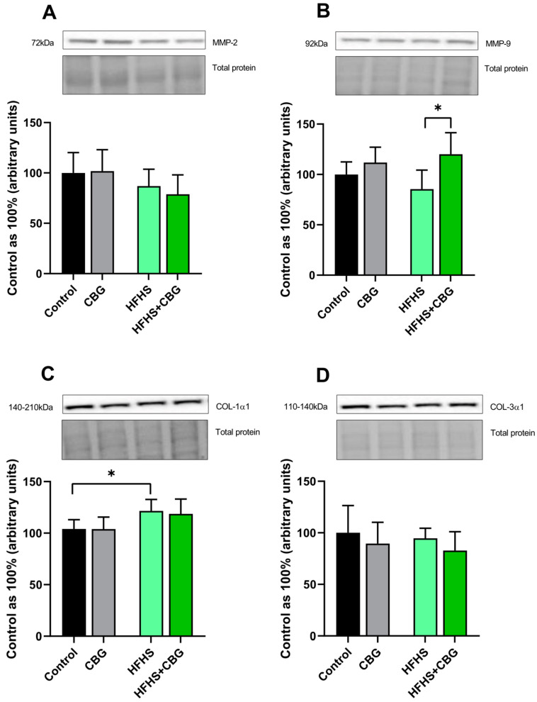 PMC11988375 – ijms-26-03114-f006
