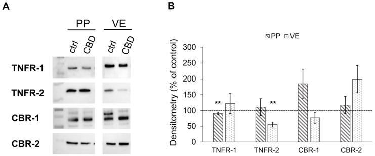 PMC11989848 – ijms-26-03360-f003